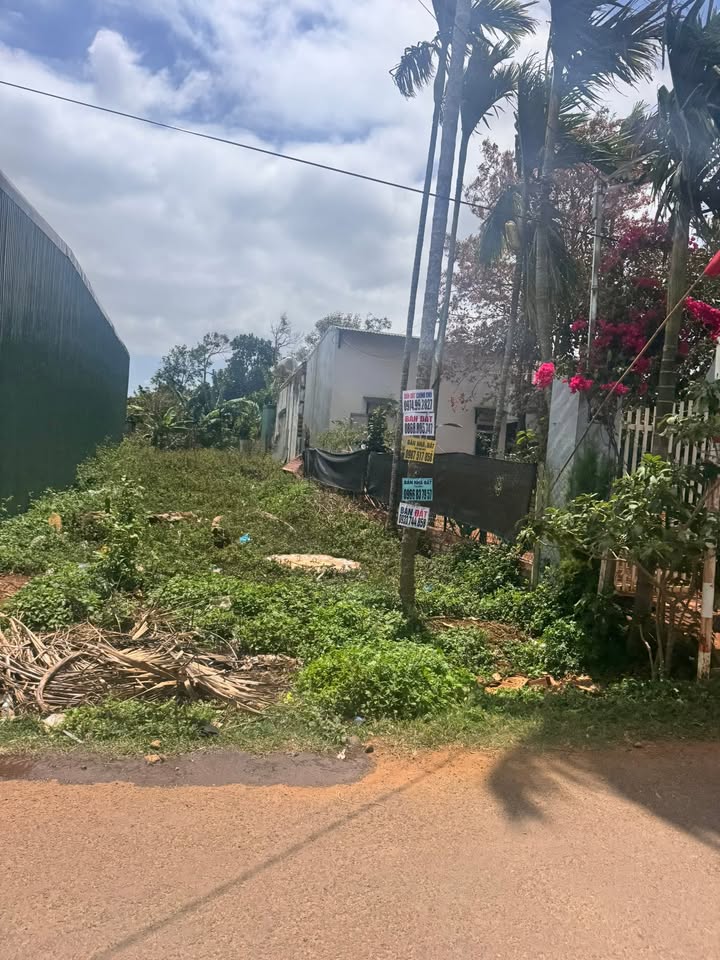 Mặt tiền N3 Tân An, Buôn Ma Thuột - 150m² Thổ cư, Giá 1.99 Tỷ