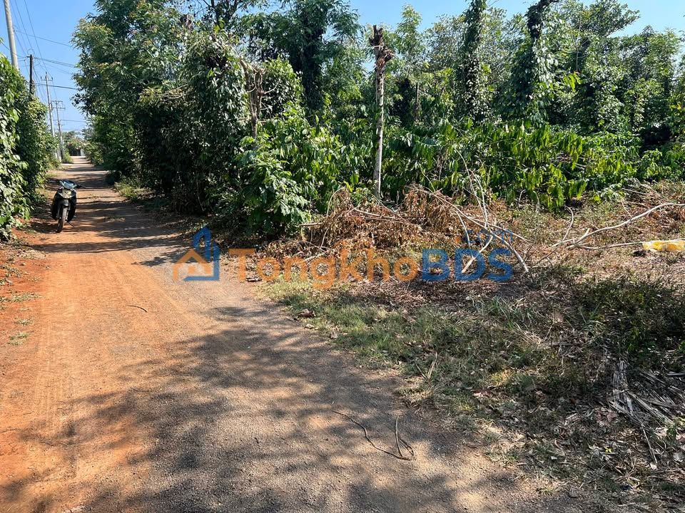 Đất Nền Thôn 8, Buôn Ma Thuột - 200m² Giá 730 Triệu, Gần Đường Số Một