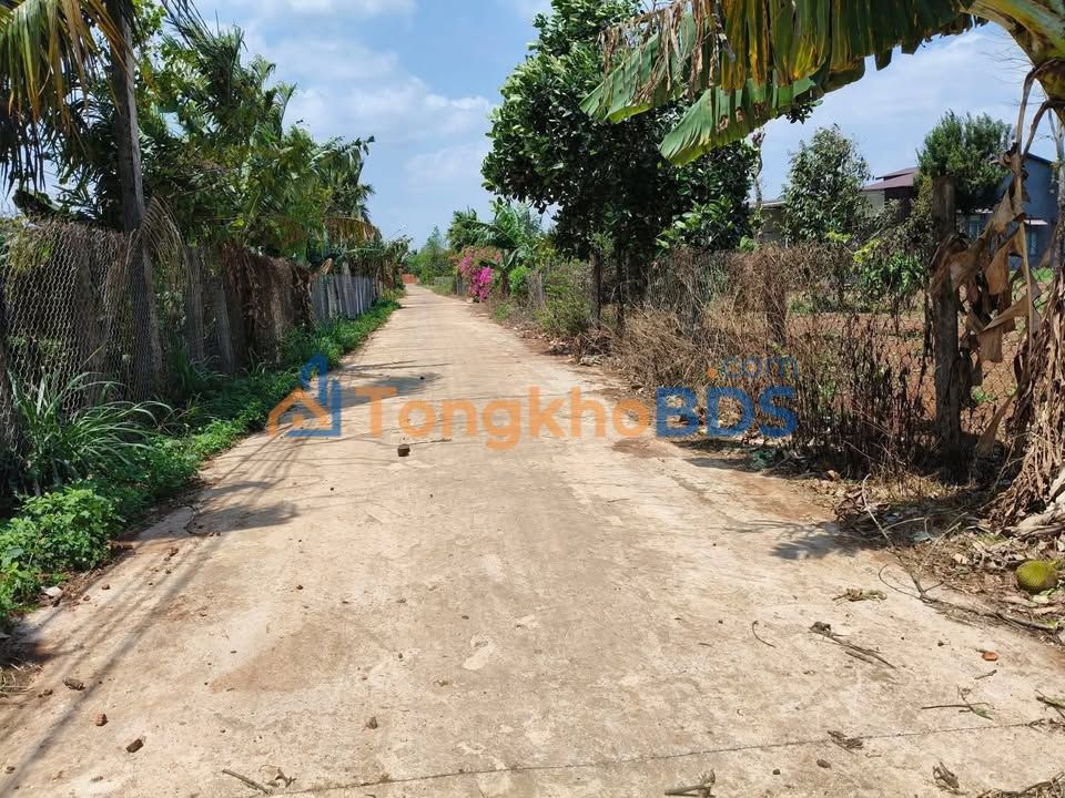 Bán Đất 200m² Eana, Đắk Lắk - Sổ Đỏ Thổ Cư, Giá 3 Tỷ