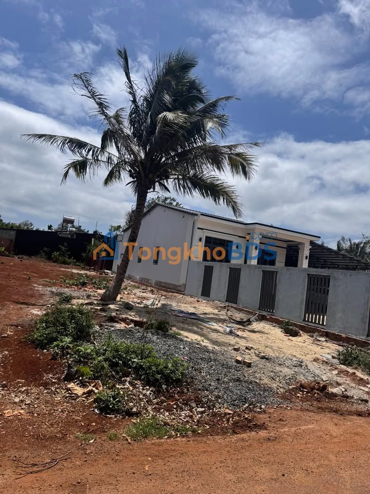 Đất Nền Mặt Tiền N8 Tân An, Buôn Ma Thuột - 282m² Thổ Cư, Giá 2.2 Tỷ