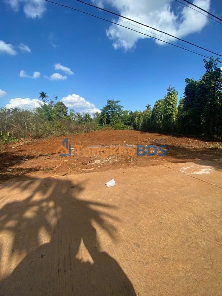 Đất nền 210m² tại Krông Bông, Đắk Lắk - Mặt đường bê tông, giá chỉ 6xx triệu