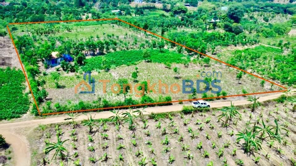 Đất Nền 11.000m² Xuân Phú, Đắk Lắk - Giá 1.6 Tỷ, Sẵn Làm Trang Trại/Phân Lô