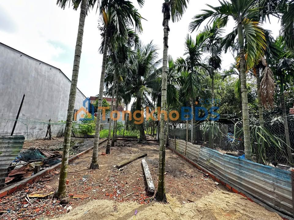 Đất nền Hẻm 416 Nguyễn Trãi, Quảng Ngãi - 50m² - Giá 570 Triệu - An cư lý tưởng