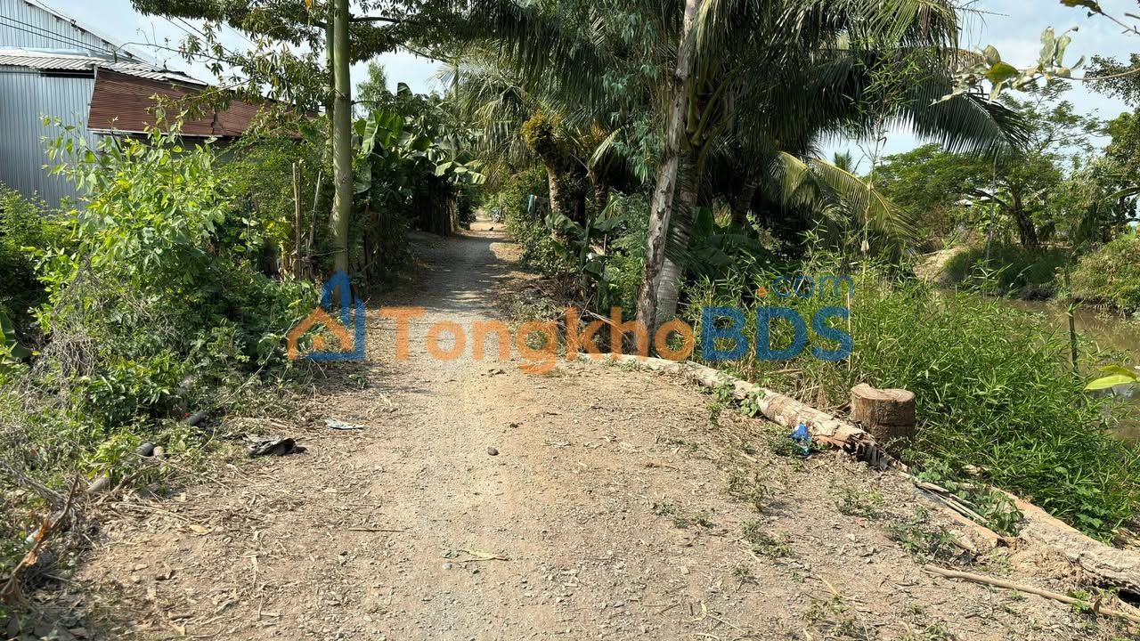 Đất Nền Tân Thạnh, Đồng Tháp - 175m², 240 Triệu, Sổ Thổ Cư, Sẵn Sàng Xây Dựng