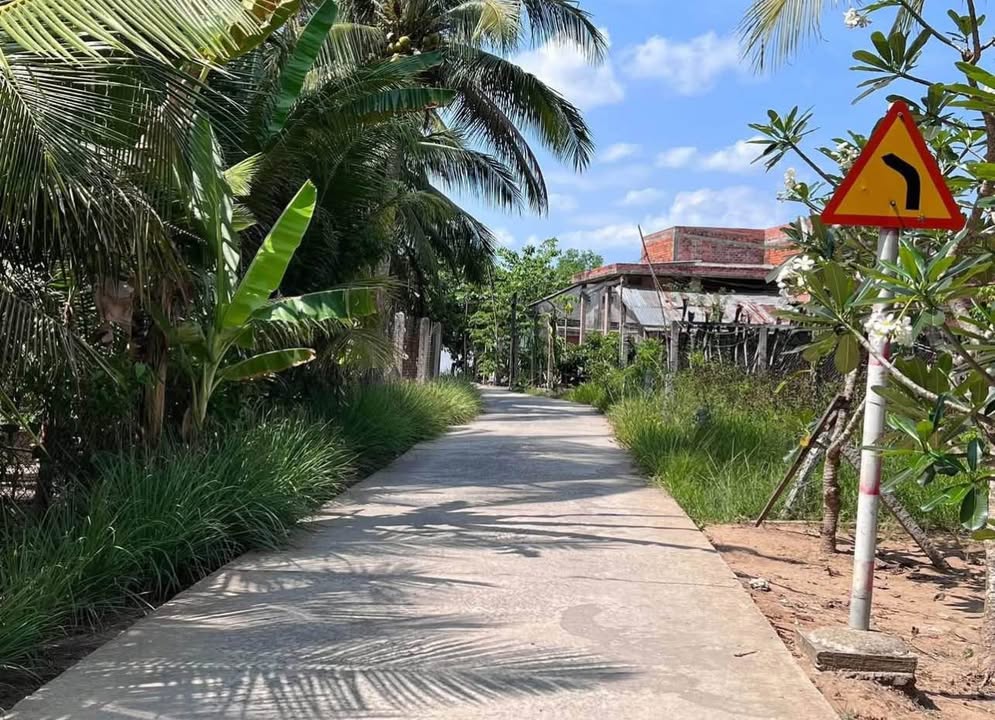 Đất nền Bến Tre 110m² giá 250 triệu - Sổ đỏ sẵn, xây dựng tự do!