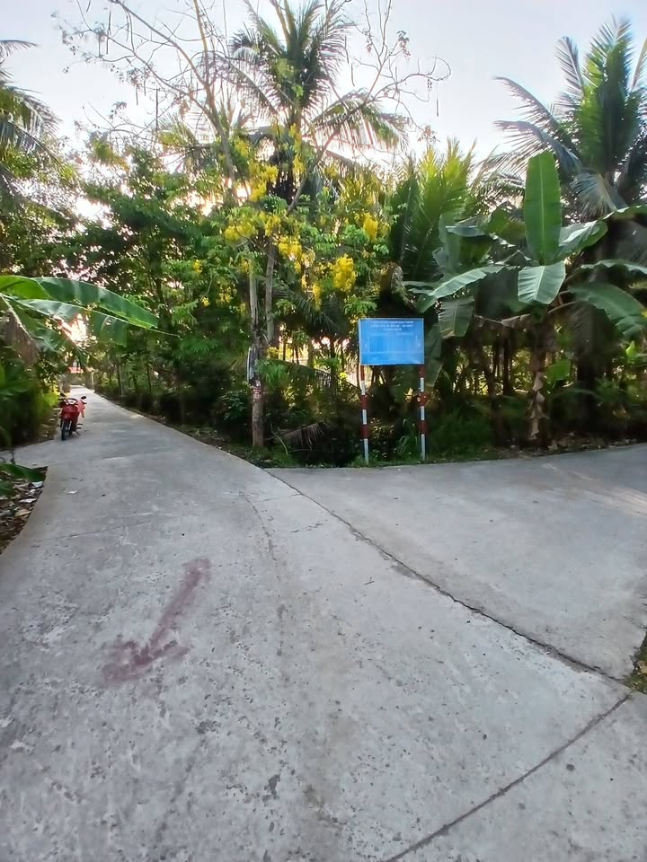 Đất Vườn Dừa 1878m² 2 Mặt Tiền Ô Tô - Giồng Trôm, Bến Tre