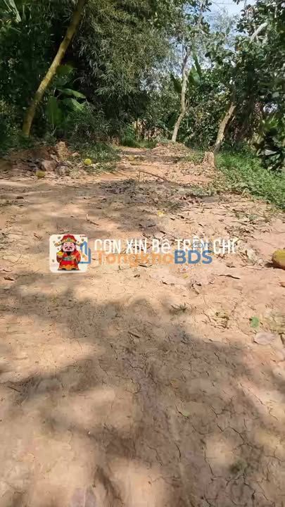 Đất Nền 2000m² Đồng Tháp - Sổ Đỏ Rõ Ràng, Giá Đầu Tư