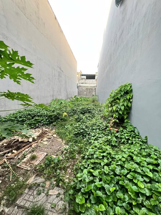 Đất nền 125m² TP Thủ Đức - Sổ hồng chính chủ, giá 7.2 tỷ