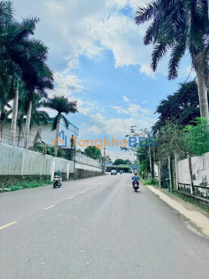 Đất Nền Xuân Tân Long Khánh 95m² - Hạ Giá Sâu, Sẵn Sàng Xây Nhà