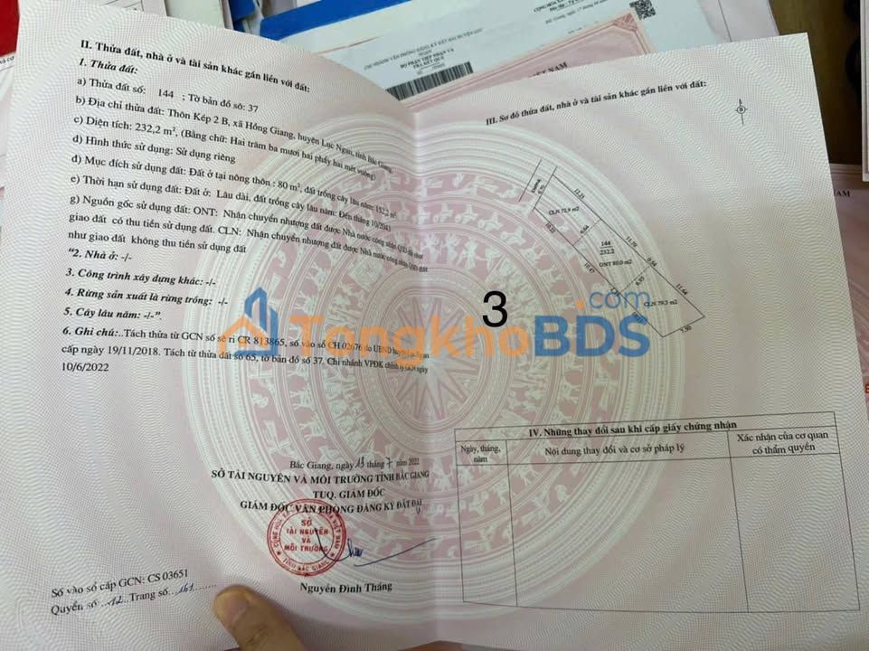 Bắc Ninh: 2 Lô Đất Vàng Phường Tân Hồng, Từ Sơn - 200m²/lô, Giá Chỉ 6xx Triệu