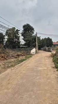 Đất Vàng Kim Long, Tam Dương 1100m² - Sổ Hồng Riêng, Tiềm Năng Phân Lô