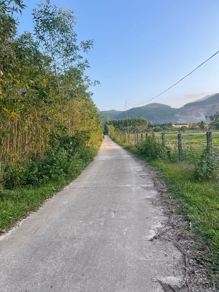 Bán 36.000m² Đất Vườn Nghĩa Lộ, Quảng Ngãi - Giá Rẻ Hơn Đền Bù