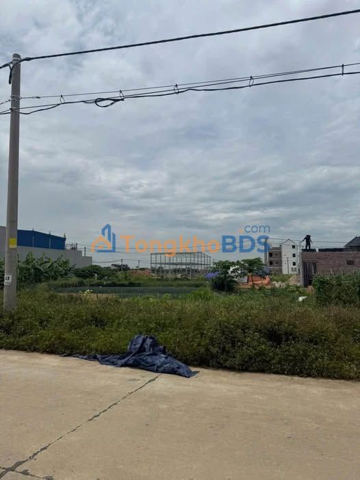 Đất Vườn Ninh Phúc, Ninh Bình - 229m² Hướng Bắc - Cơ Hội Đầu Tư Hấp Dẫn