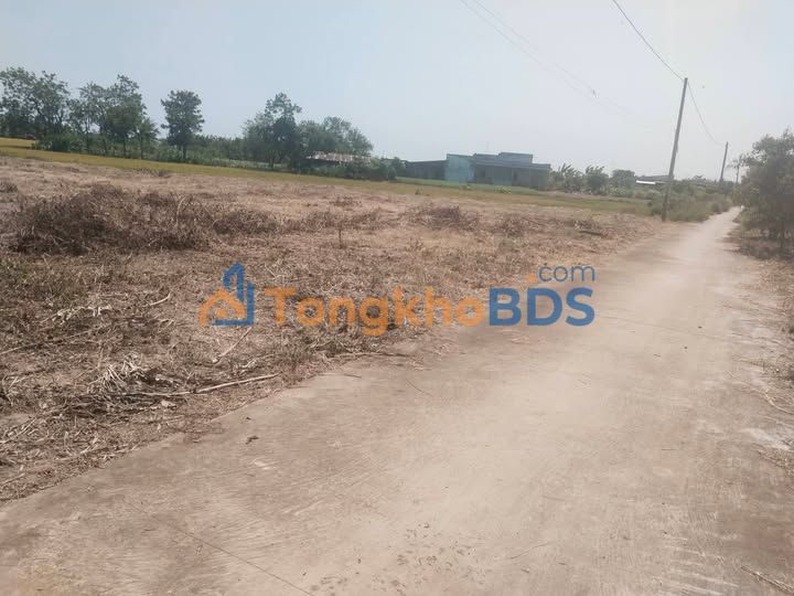 Đất nền Long Hòa, Tiền Giang 103m² - Sổ hồng thổ cư, giá đầu tư 9.8 tỷ