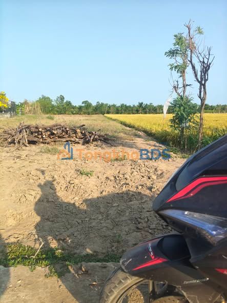 Đất Nền Gò Công Đông 704m² - 2 Mặt Tiền, Sổ Đỏ Riêng, Giá 1.3 Tỷ