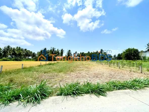 Bán Đất Nền Gò Công Tây, Tiền Giang - 250m² Giá 320 Triệu, Hướng Nam