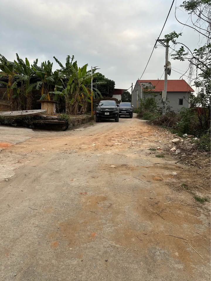 Đất Nền Sông Lô Vĩnh Phúc 460m² - Sổ Đỏ Sẵn Sang Tên, Giá Tốt Đầu Tư