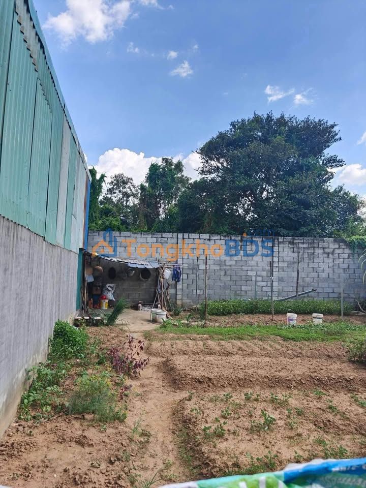 Đất Sổ Hồng Riêng 62m² Gần Ngã 4 Bình Triệu - Giá 1.59 Tỷ