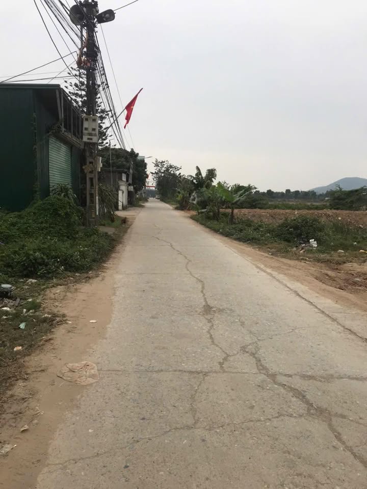 Bán Đất Yên Phong 200m² Mặt Tiền 8m - Tiềm Năng Kinh Doanh Vượt Trội