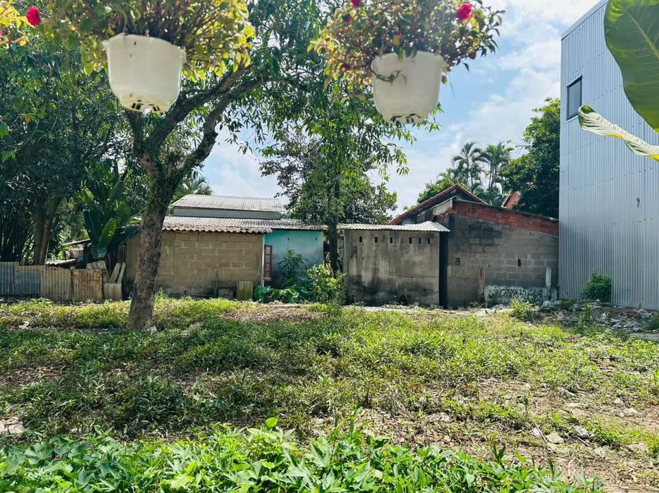 Đất Nền Sổ Hồng Chính Chủ Huế - 70m² Giá 1.5 Tỷ, Gần Chợ Mai