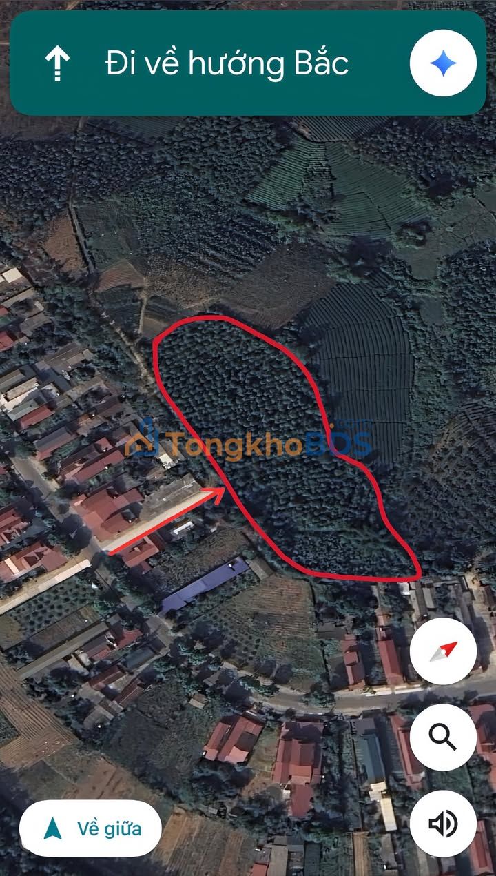 Bán Gấp 10.000m² Đất Vườn Phú Thọ - Thích Hợp Làm Trang Trại