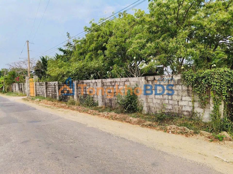 Bán Gấp Nhà Vườn 2500m² Hàm Liêm, Bình Thuận - Giá Tốt Đầu Tư