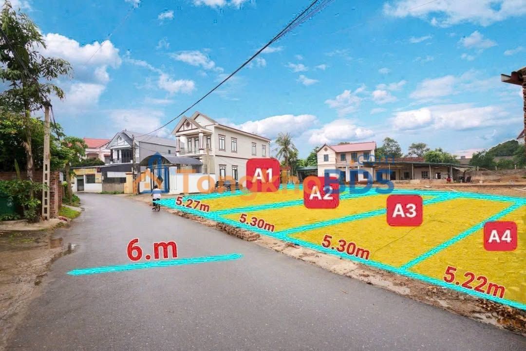 Đất Nền Tam Đảo 119m² Giá Chỉ 600 Triệu - Cơ Hội Đầu Tư Vàng