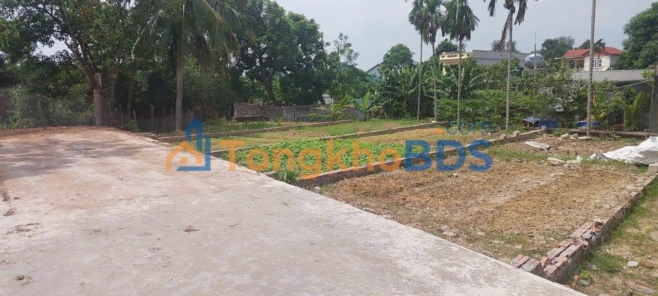 Đất nền Thôn Giữa, Quất Lưu 104m² - Sổ đỏ thổ cư, giá 1.3 tỷ