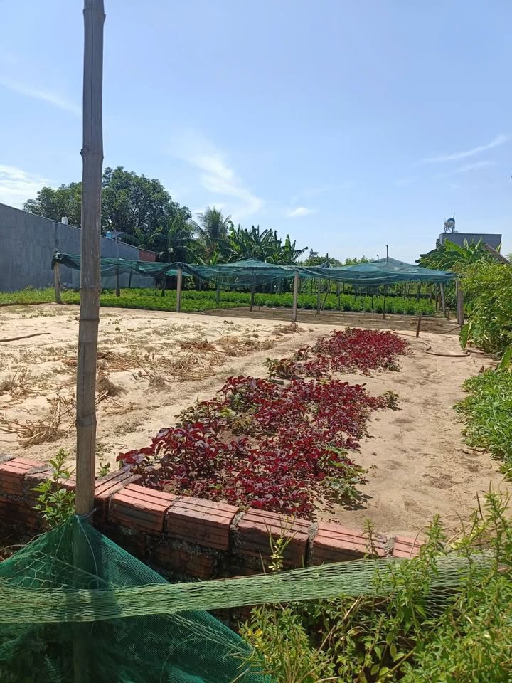 Đất Vàng Điện Bàn 200m² - Sổ Đỏ Sẵn Sàng, Giá 2.7 Tỷ