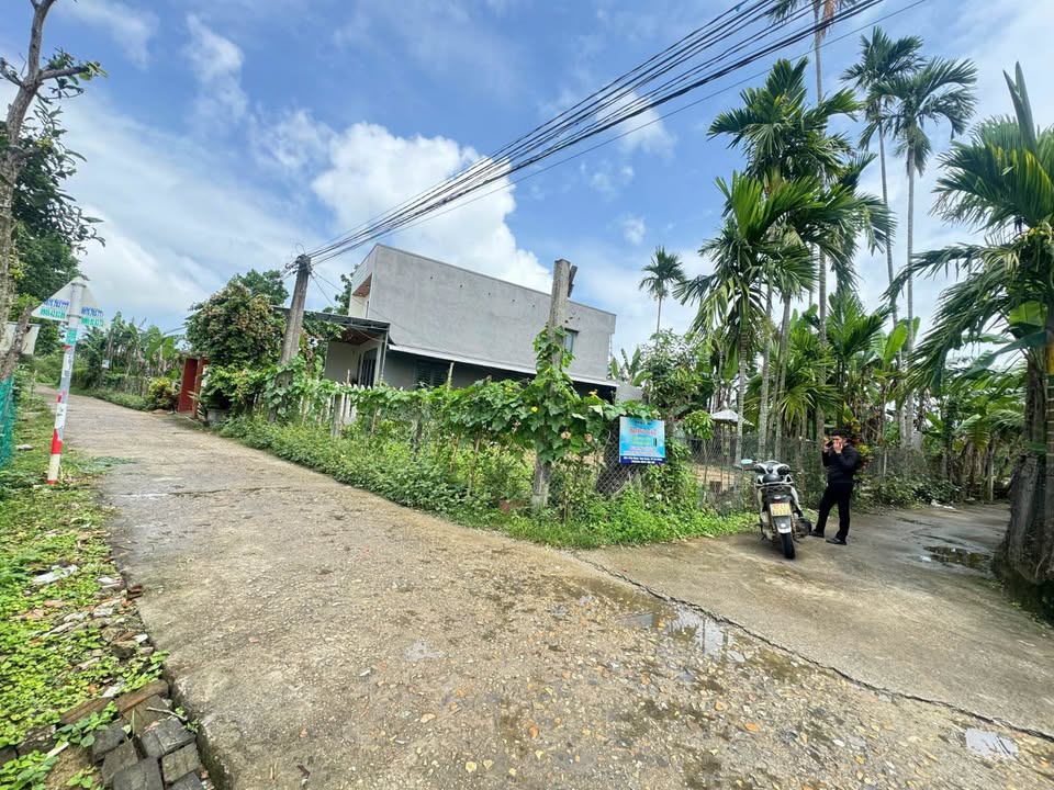 Đất Nền Phú Bình - Tam Xuân 1, Quảng Nam - 185m² Nở Hậu, View Sông