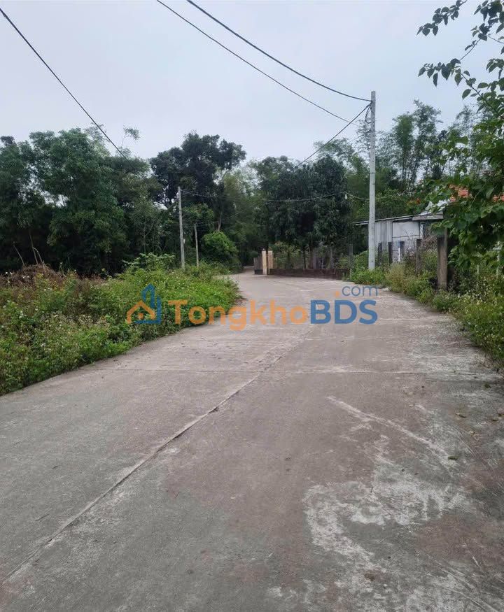 Bán Đất An Phú Tam Kỳ 216m² - Sổ Đỏ Thổ Cư, Gần Trường Ngô Quyền