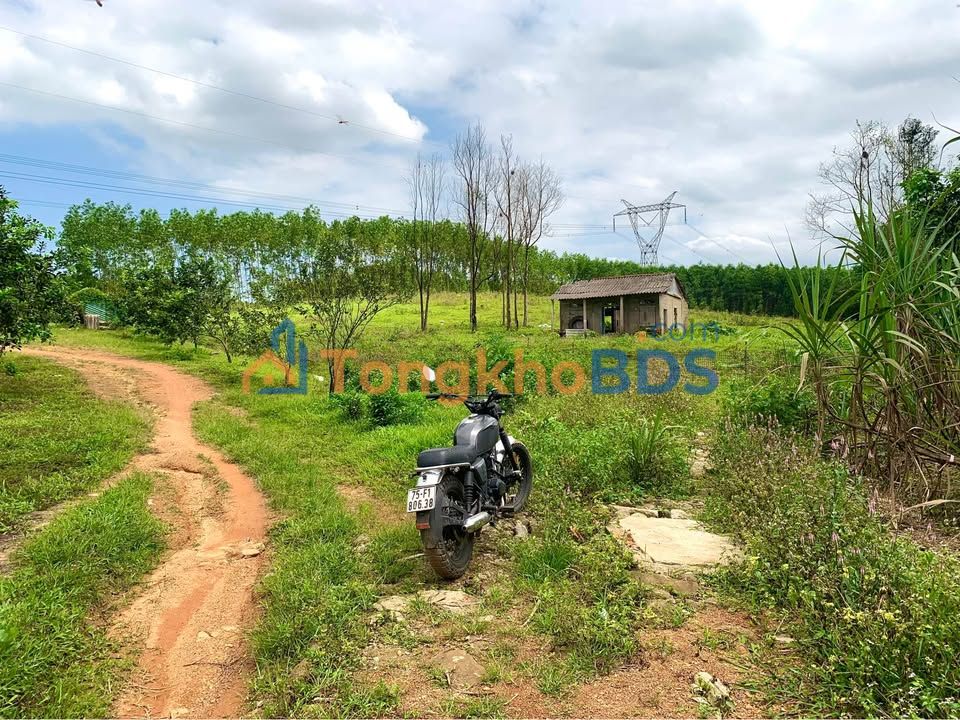 Đất nền Phong Mỹ, Huế 1023m² - Sổ đỏ thổ cư, giá 750 triệu