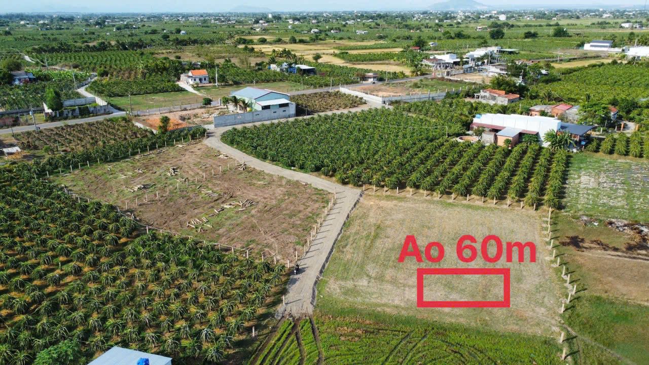 Đất Vườn 1385.5m² Thổ Cư Hàm Liêm - Tiềm Năng Đầu Tư Vượt Trội