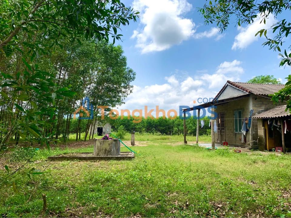 Bán Gấp Đất Vườn 4000m² Phong Điền - Sổ Đỏ 590 Triệu, Có Nhà Vườn