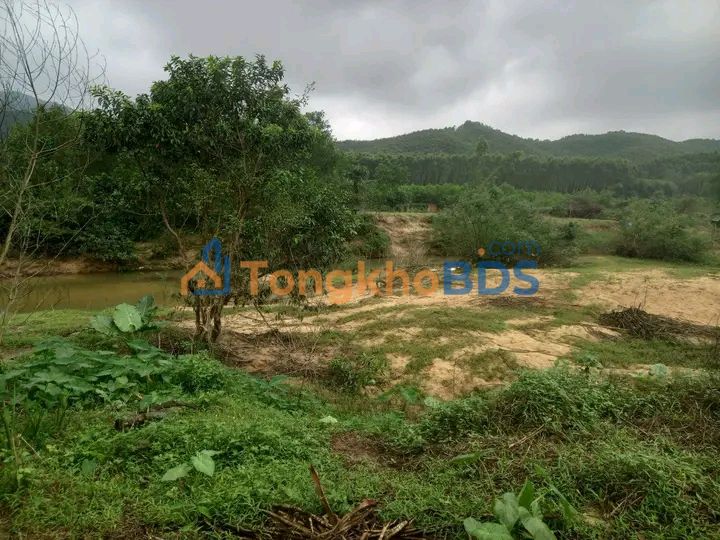 Đất nền Bình Điền 500m² view khe suối - Giá đầu tư chỉ 7xx triệu