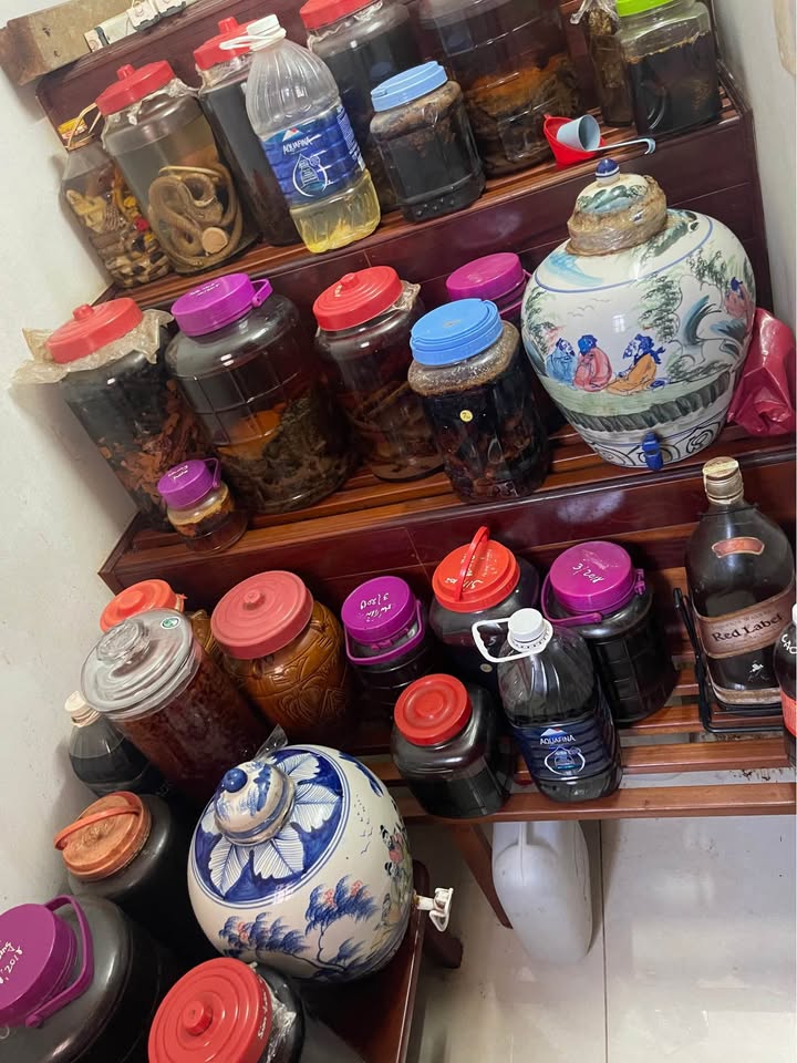 Nhà Mặt Tiền Đường 2/9 Vũng Tàu - 100m² Giá 3 Tỷ