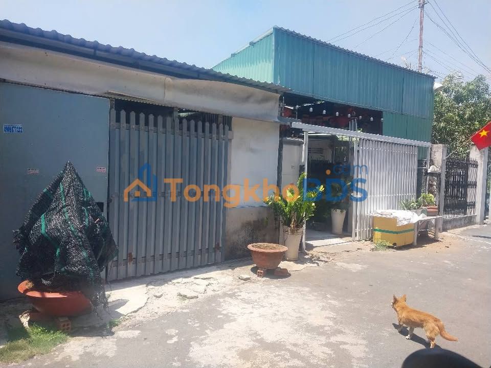 Nhà 216m² Đường Nhựa Số 9, Bà Rịa - Giá Ngộp 1.3 Tỷ