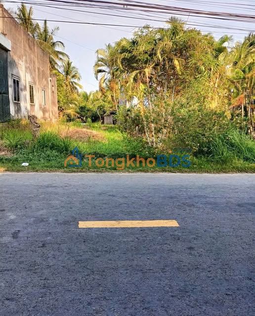 Đất nền mặt tiền Châu Hoà Lương Quới, Bến Tre - 273m² Sổ hồng, Giá 1.1 tỷ