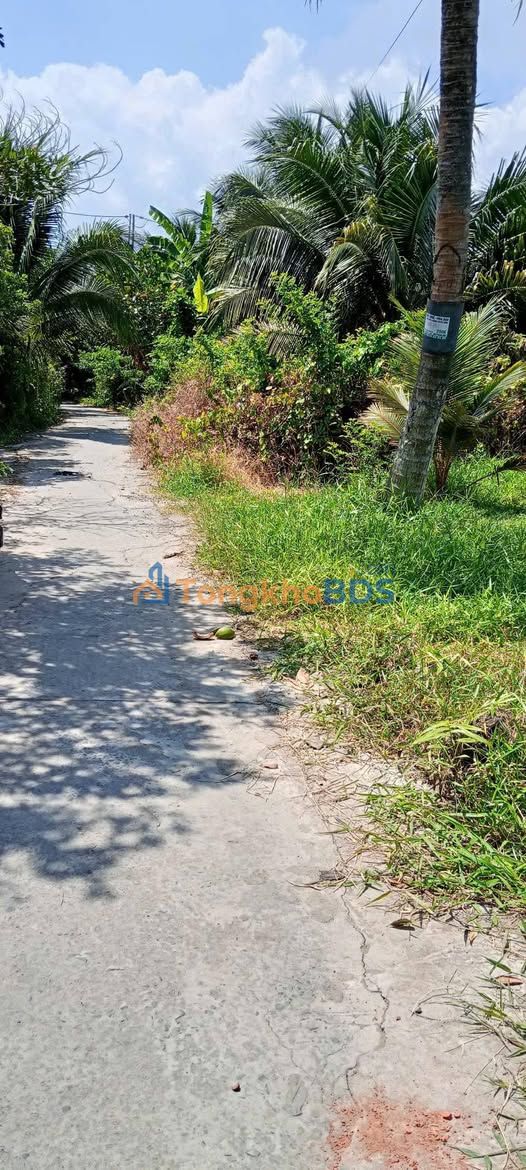 Bán Gấp 2 Nền Đất Quới Sơn, Bến Tre - 500m² Thổ Cư - Sổ Giấy Tay