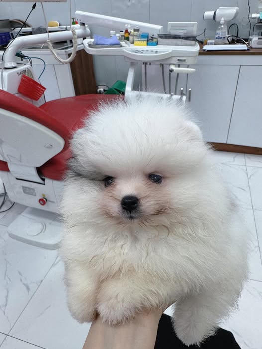 Bán Đất Lô Góc 700m² T.P Bắc Kạn - Giá 2 Tỷ, Sẵn Nền Đẹp