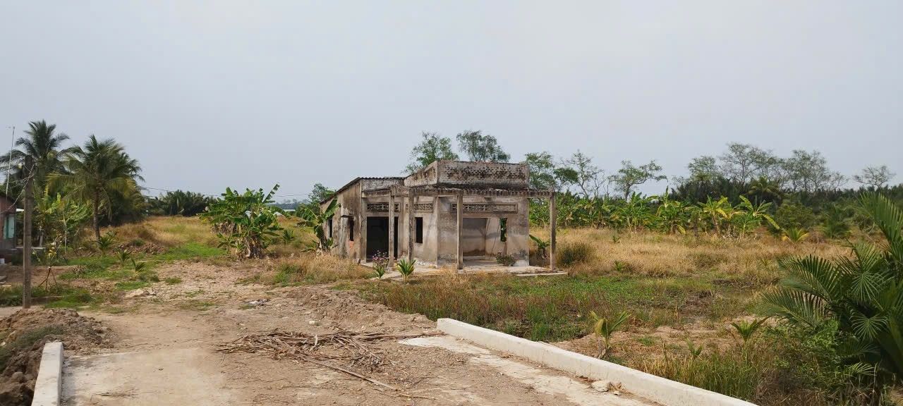 Đất Vĩnh Long 16.000m² Mặt Tiền Sông Tiền - Tiềm năng SKC, TMD