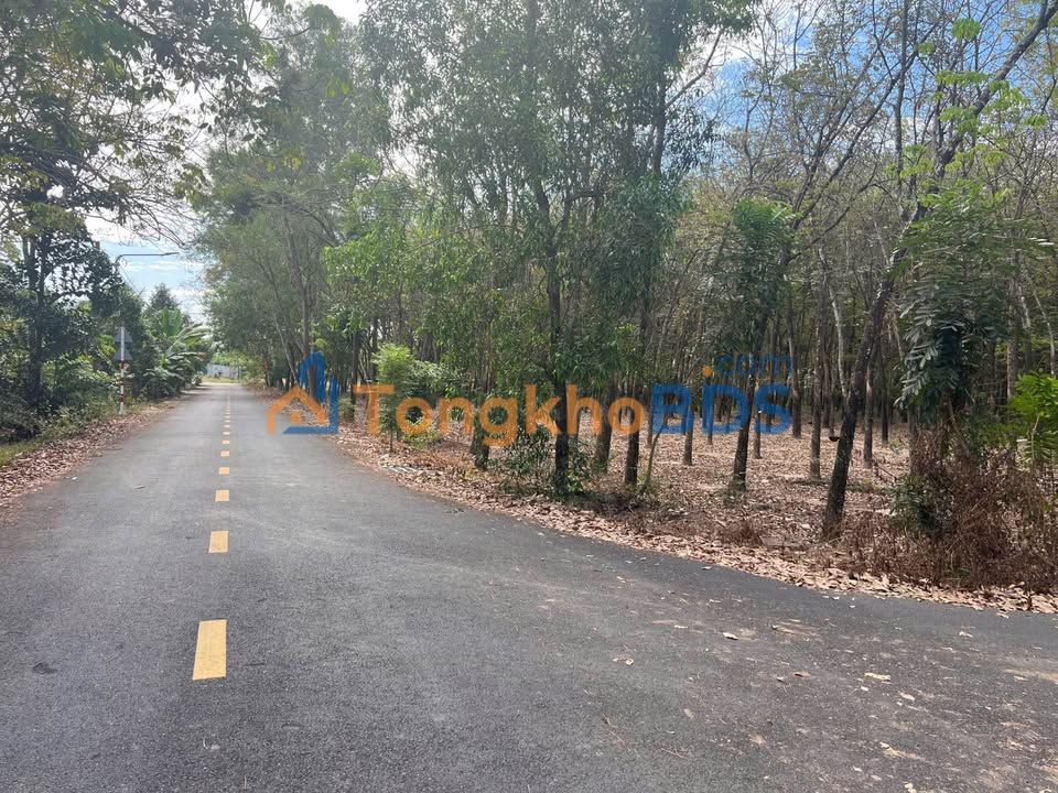 Bán Đất 216m² Đường Nhựa Thông Lộ 7b - Chánh Mỹ, Thủ Dầu Một - 1.2 Tỷ