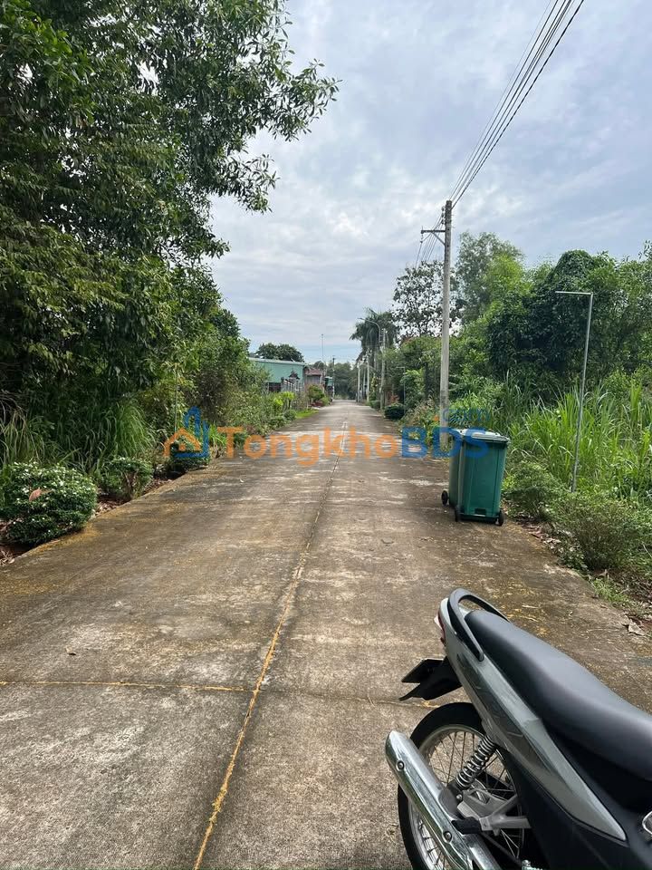 Đất Nền Sổ Riêng Phước Hoà, Phú Giáo - 400m² Giá 950 Triệu