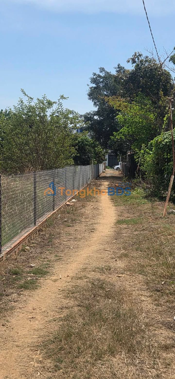 Đất Mặt Tiền Nhựa Dầu Tiếng 850m² - Sổ Đỏ Sẵn Sàng