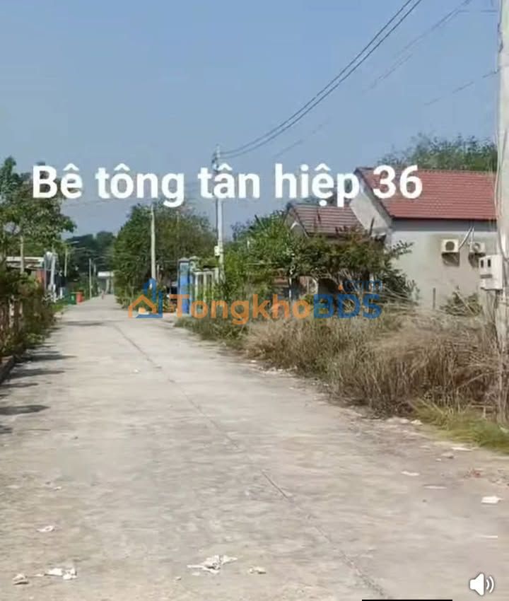 Đất Nền Sổ Riêng Tân Hiệp 36, Phú Giáo - 160m² Giá 620 Triệu