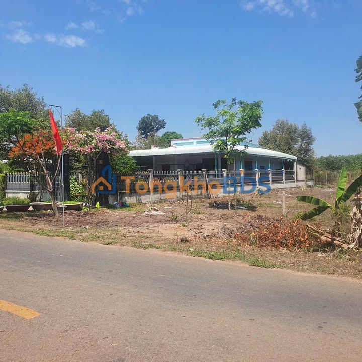 Đất Nền Mặt Tiền An Thái, Phú Giáo 250m² - Sổ Hồng Riêng