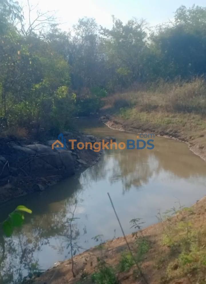 Bán Đất Vườn 7.2ha Lâm Đồng - Sổ Đỏ, Suối Mát, Tiềm Năng Sinh Thái