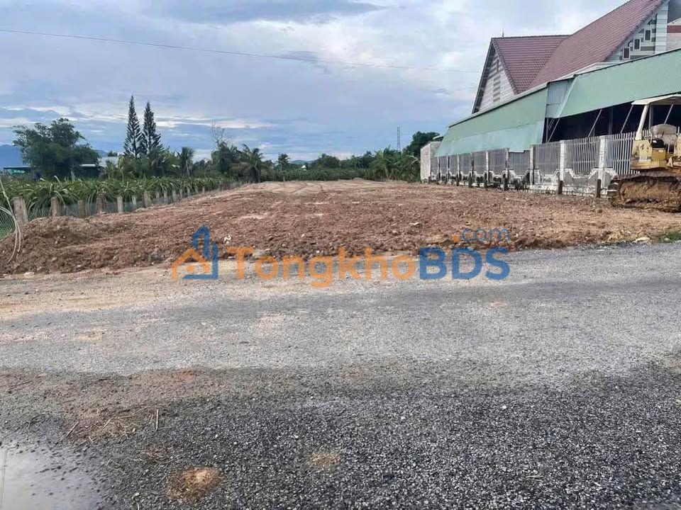 Bán Đất Vườn 1300m² Mặt Tiền Nhựa Phú Phong, Bình Thuận - Giá 2.2 Tỷ