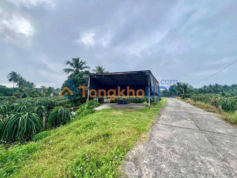 Bán Đất Vườn Thanh Long 746m² Hàm Thuận Nam - Sổ Hồng, Giá 1.4 Tỷ