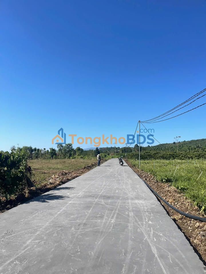 Đất Nền Lộc Tân, Bảo Lâm 247.5m² - Sổ Đỏ Vuông Vắn, Giá Đầu Tư 450 Triệu